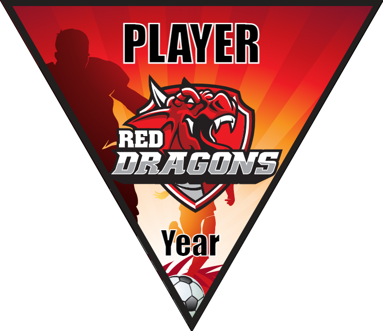 Red Dragons - Triangle Soccer Banners