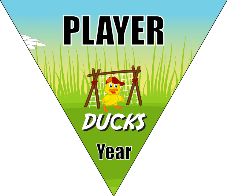 Ducks - Triangle Soccer Banners