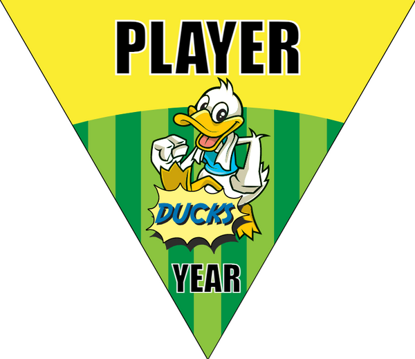 Ducks 2 - Triangle Soccer Banners