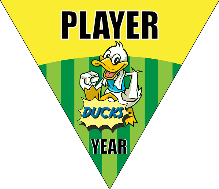 Ducks 2 - Triangle Soccer Banners