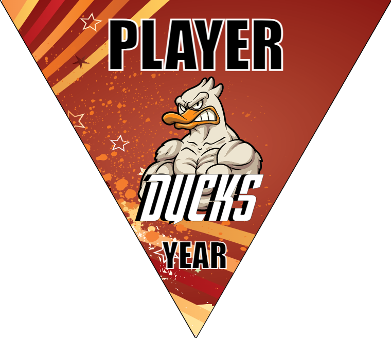 Ducks 3 - Triangle Soccer Banners