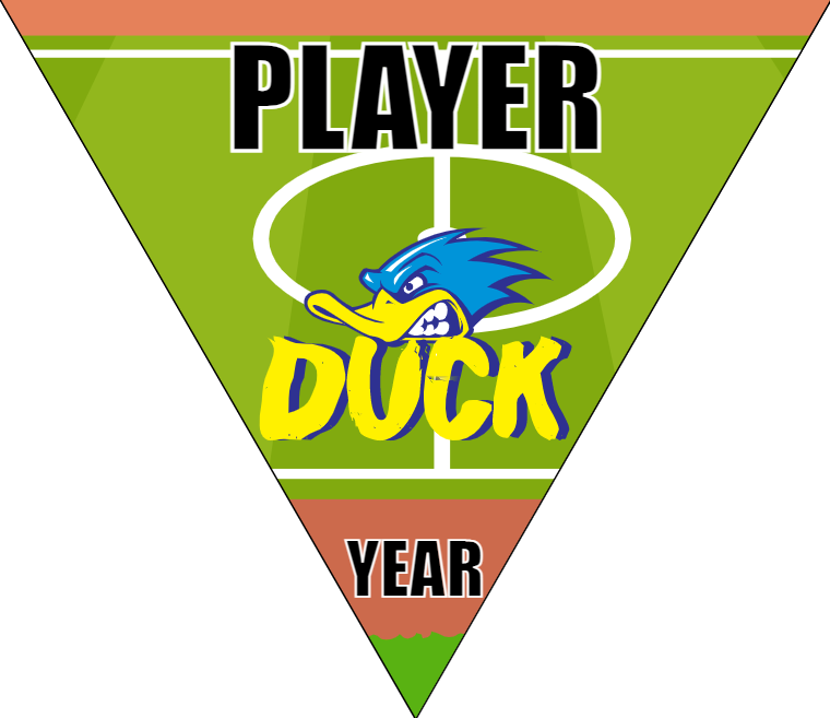 Ducks 4 - Triangle Soccer Banners