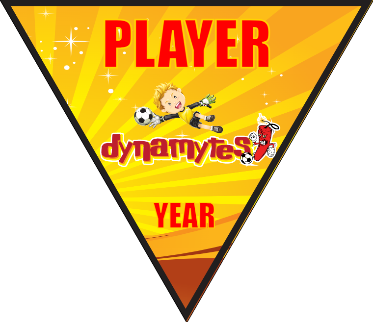 Dynamytes - Triangle Soccer Banners