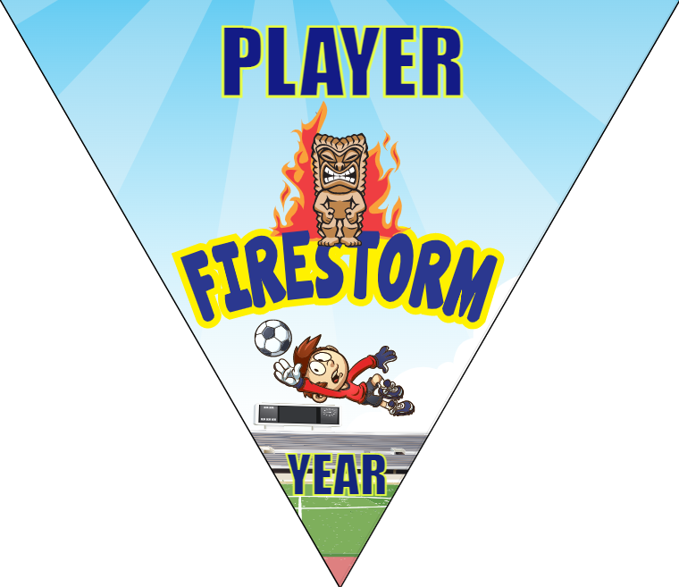 Firestorm - Triangle Soccer Banners