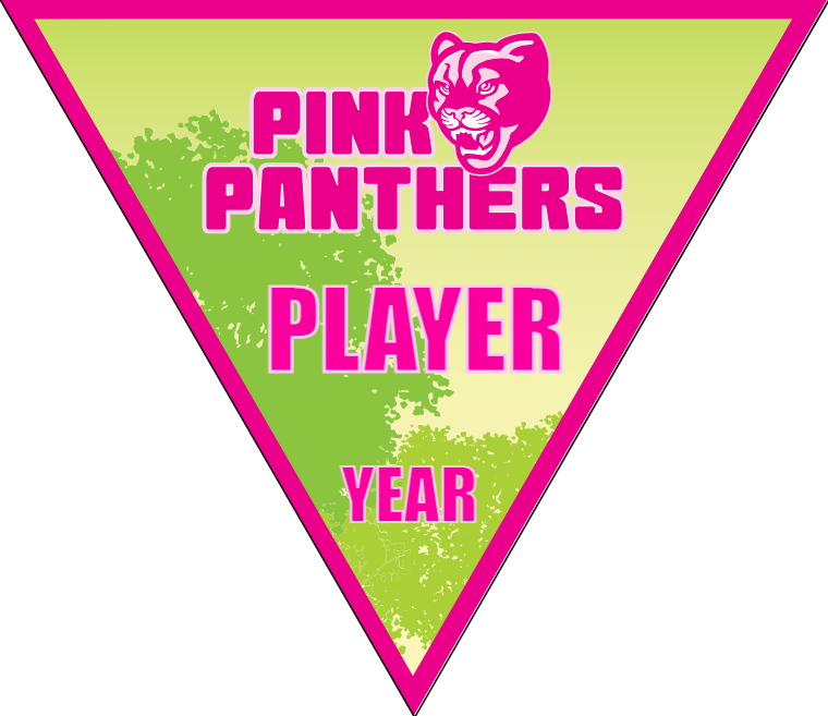 Pink Panthers - Triangle Soccer Banners