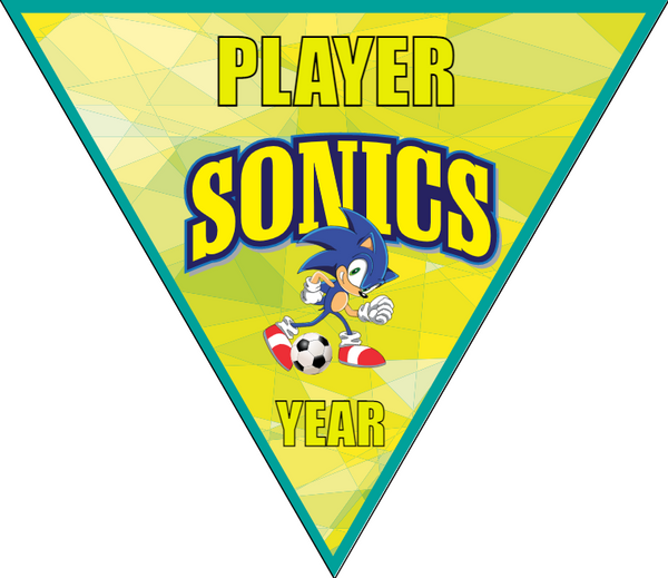 Sonic - Triangle Soccer Banners