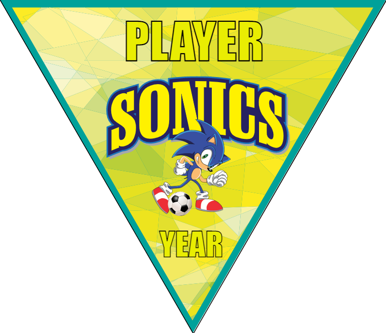 Sonic - Triangle Soccer Banners