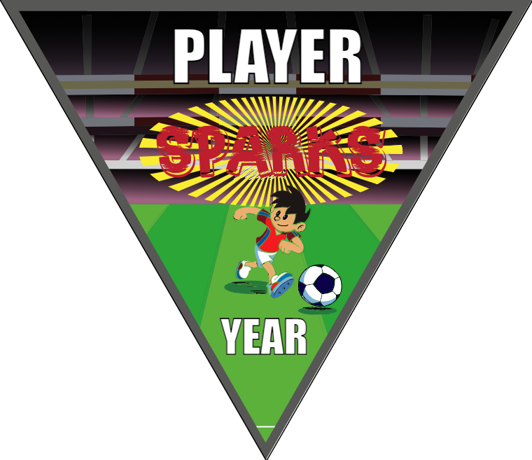 Sparks - Triangle Soccer Banners