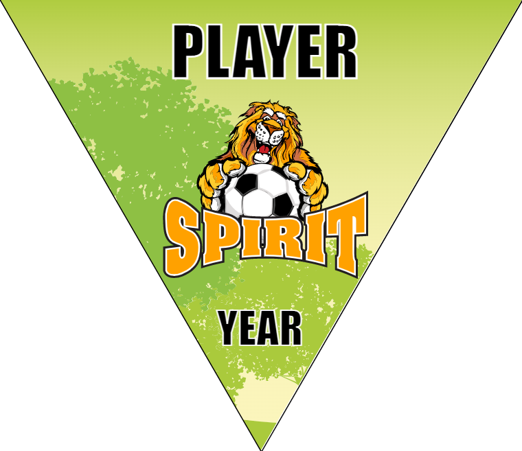 Spirit - Triangle Soccer Banners