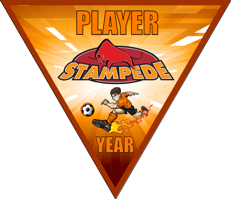 Stampede - Triangle Soccer Banners