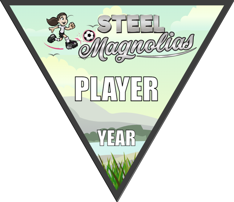 Steel Magnolias - Triangle Soccer Banners