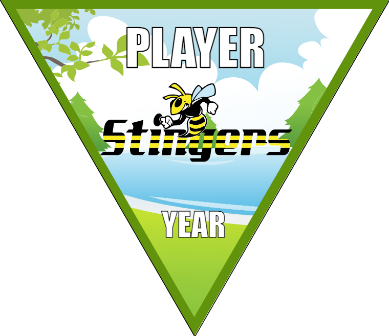 Stingers - Triangle Soccer Banners