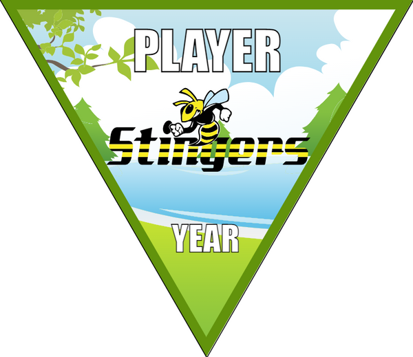 Stingers - Triangle Soccer Banners
