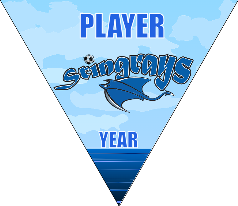 Stingerays - Triangle Soccer Banners
