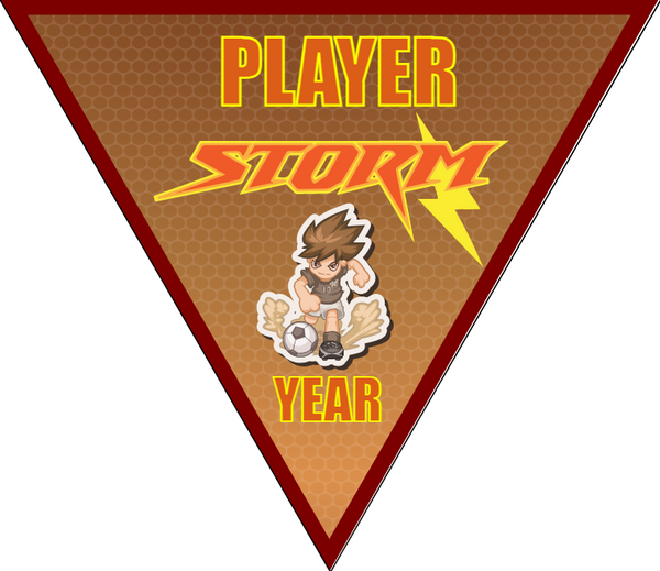 Storm - Triangle Soccer Banners