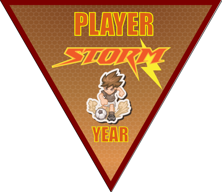 Storm - Triangle Soccer Banners