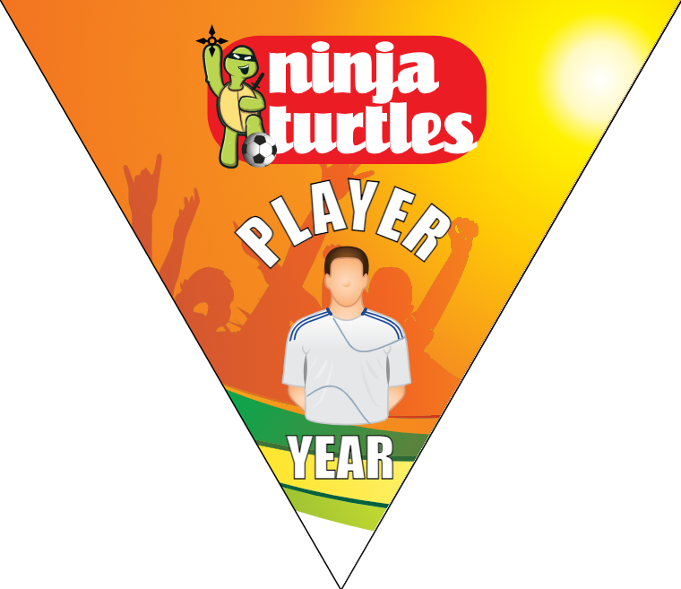 Ninja Turtles 2 - Triangle Soccer Banners