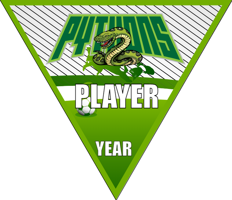 Pythons 2 - Triangle Soccer Banners
