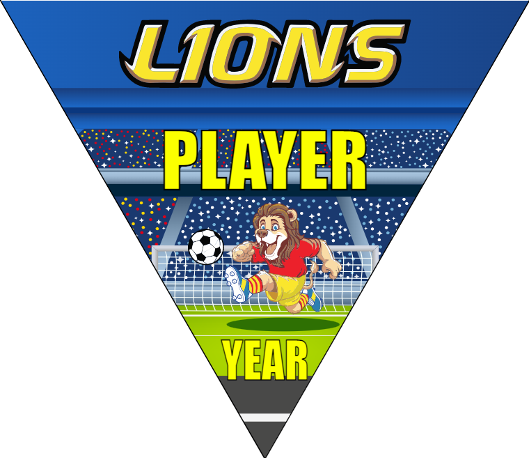 Lions - Triangle Soccer Banners