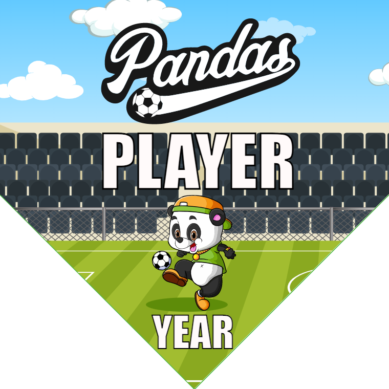 Pandas - Homeplate Soccer Pennant