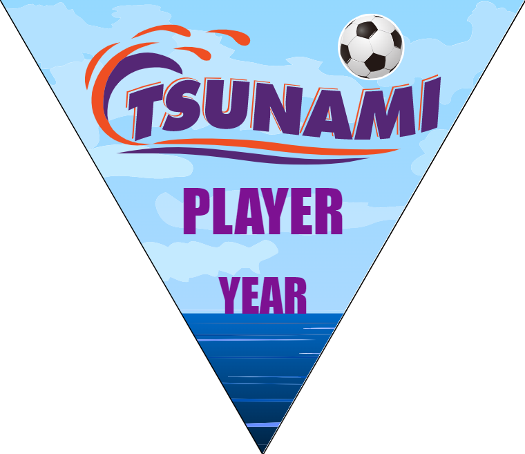 Tsunami - Triangle Soccer Banners