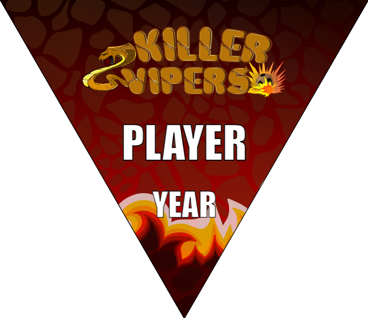 Killer Vipers - Triangle Soccer Banners