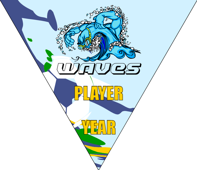 Waves - Triangle Soccer Banners