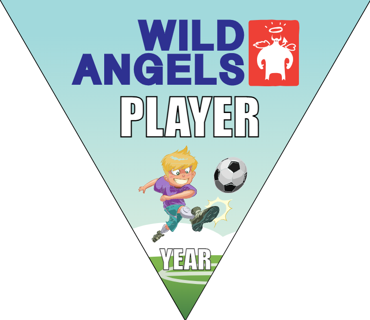 Wild Angels - Triangle Soccer Banners