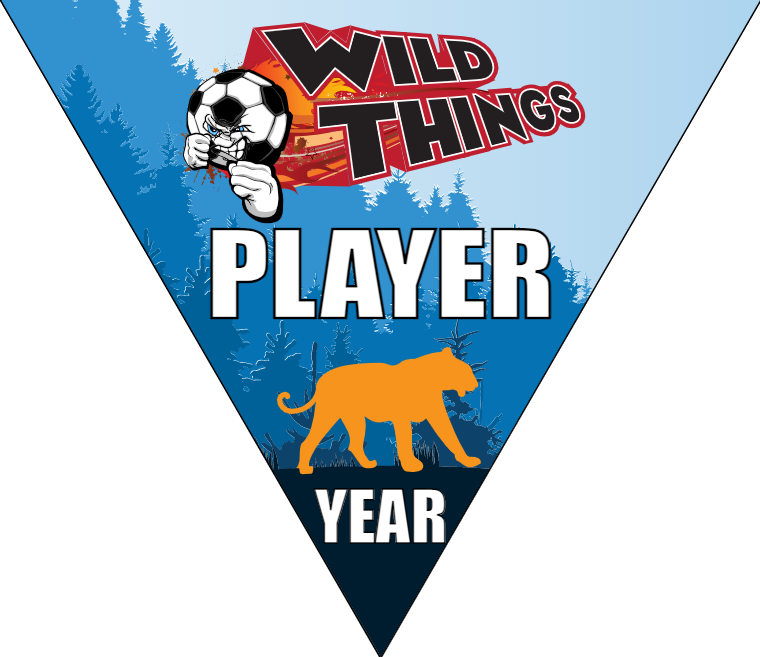 Wild Things - Triangle Soccer Banners