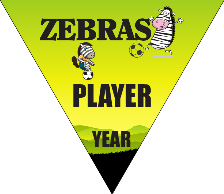 Zebras - Triangle Soccer Banners
