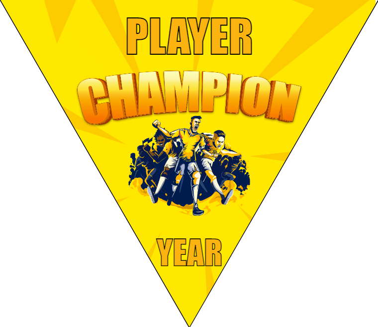 Champion - Triangle Soccer Banners