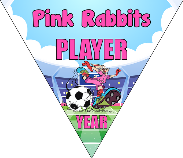 Pink Rabbits - Triangle Soccer Banners