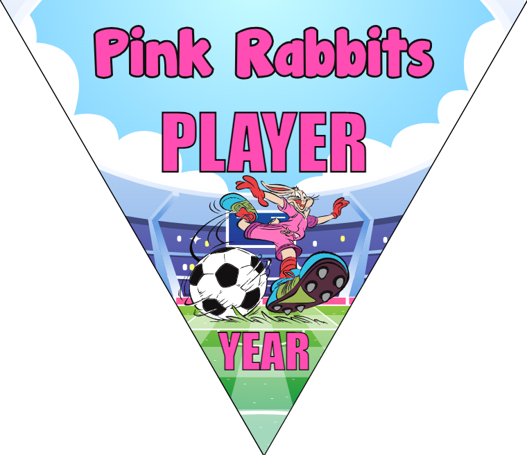 Pink Rabbits - Triangle Soccer Banners