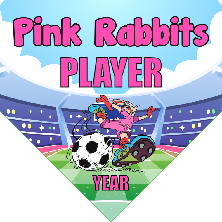 Pink Rabbits - Homeplate Soccer Pennant