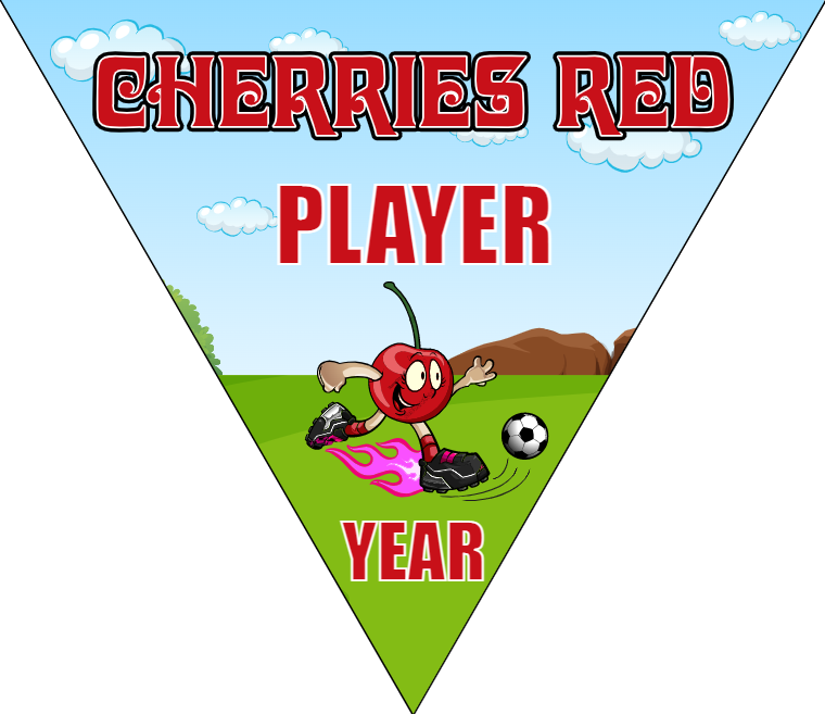 Cherries Red - Triangle Soccer Banners