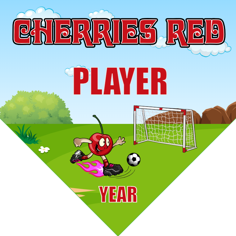 Cherries Red - Homeplate Soccer Pennant