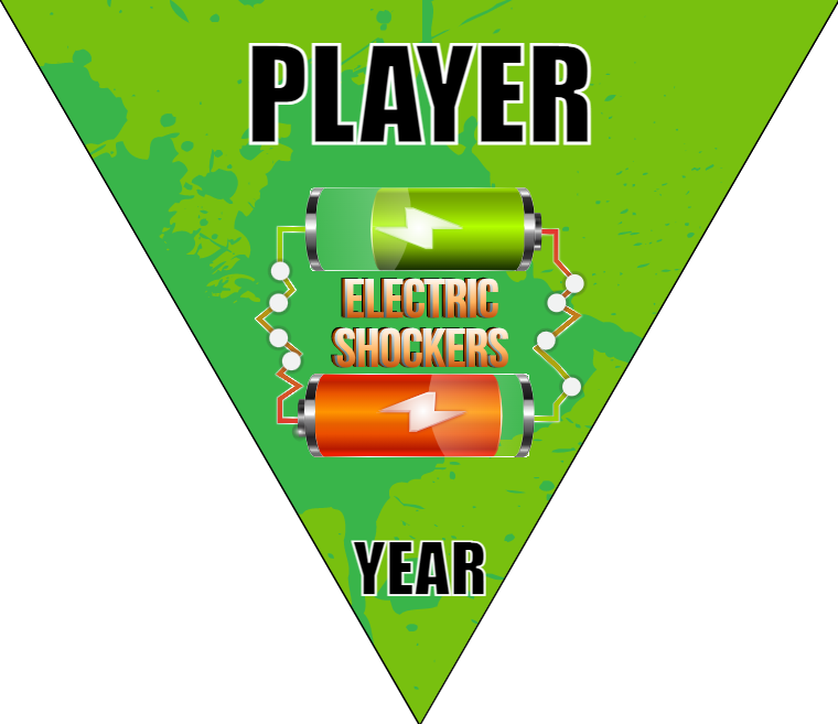 Electric Shockers - Triangle Soccer Banners