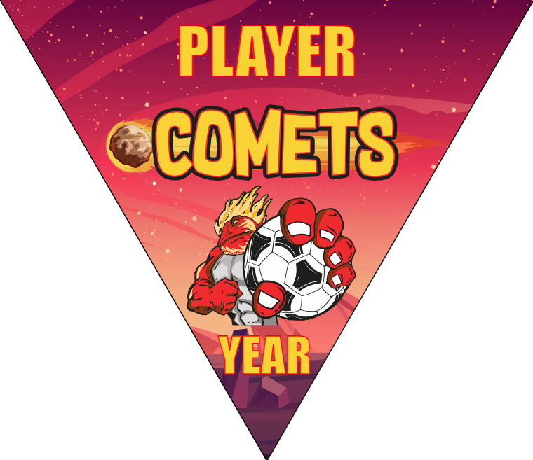 Comets - Triangle Soccer Banners