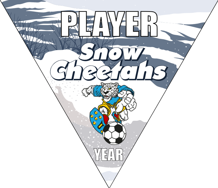 Snow Cheetahs - Triangle Soccer Banners