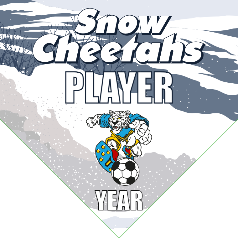 Snow Cheetahs - Homeplate Soccer Pennant