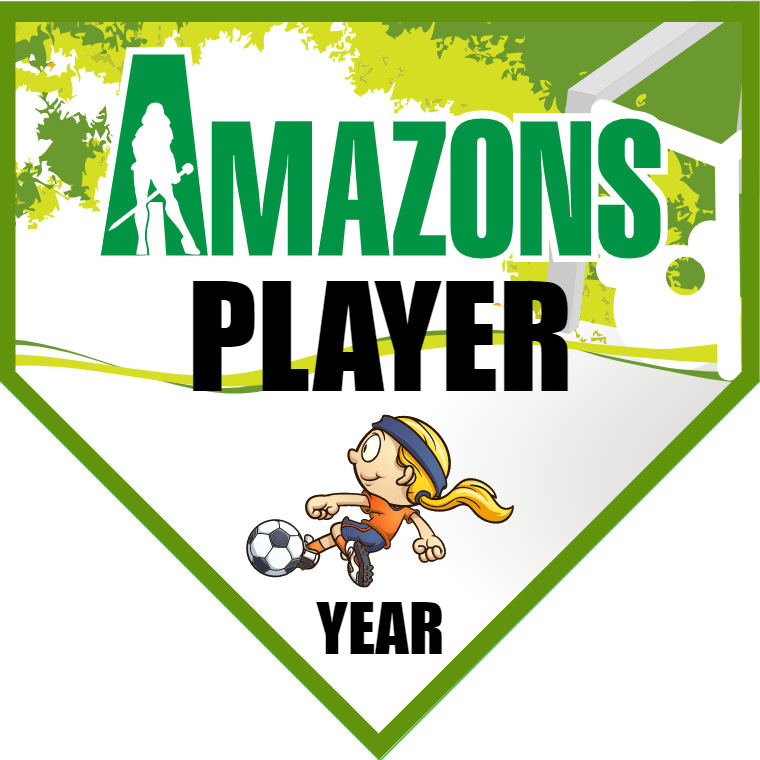 Amazons - Homeplate Soccer Pennant