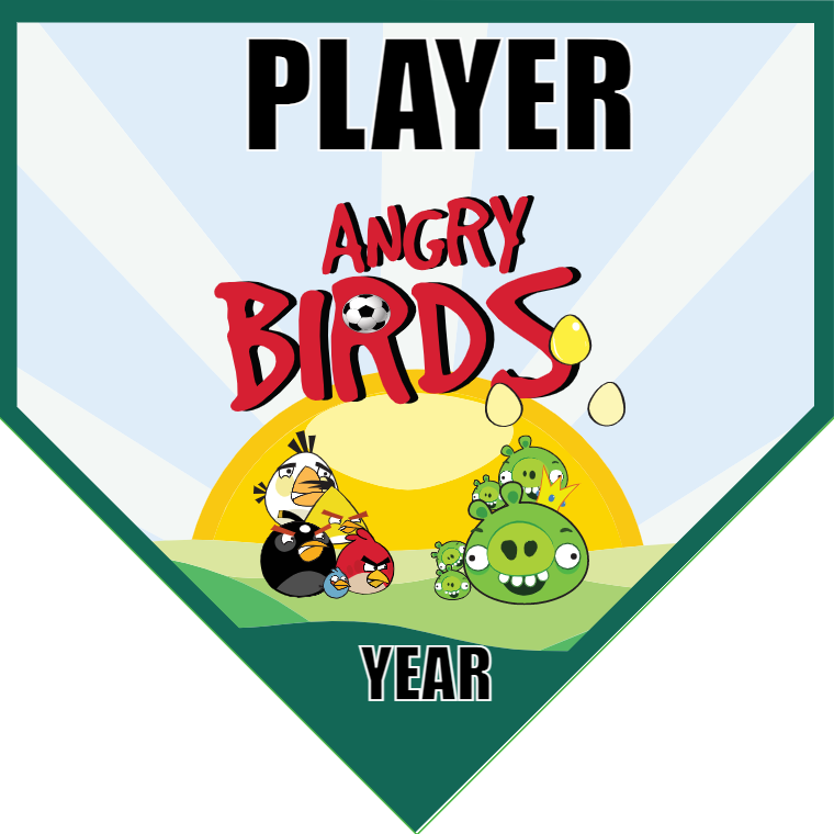 Angry Birds - Homeplate Soccer Pennant