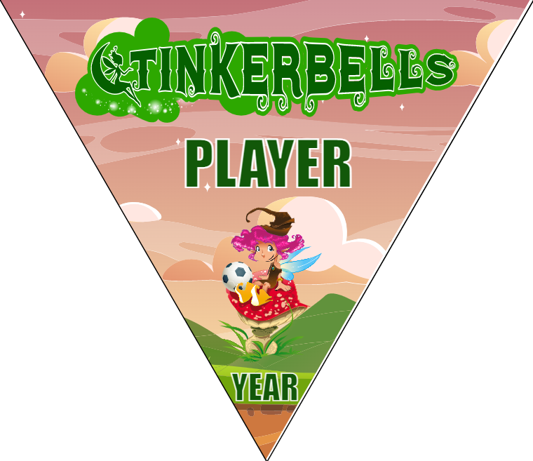 Tinkerbells - Triangle Soccer Banners