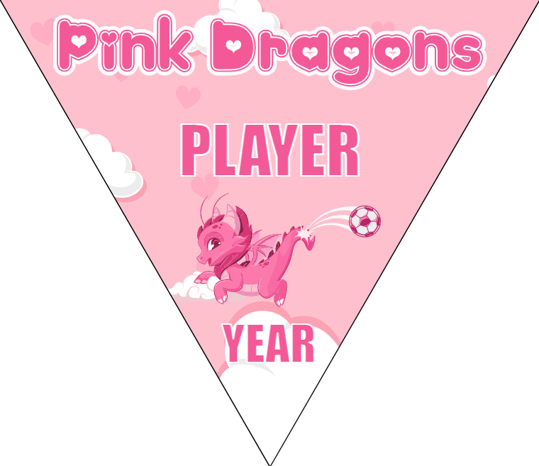 Pink Dragons - Triangle Soccer Banners