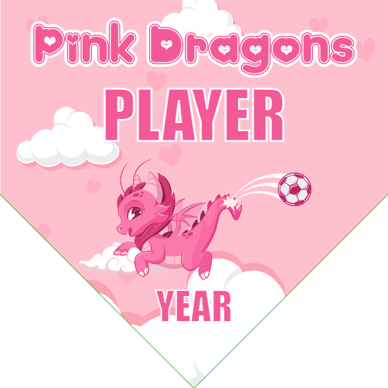 Pink Dragons - Homeplate Soccer Pennant
