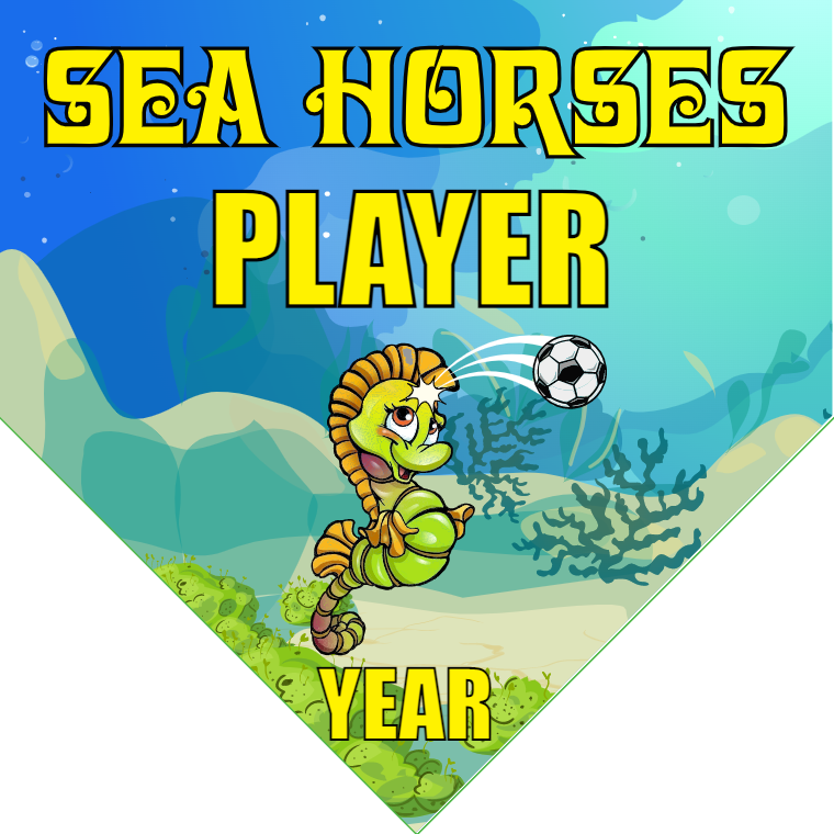 Sea Horses - Homeplate Soccer Pennant