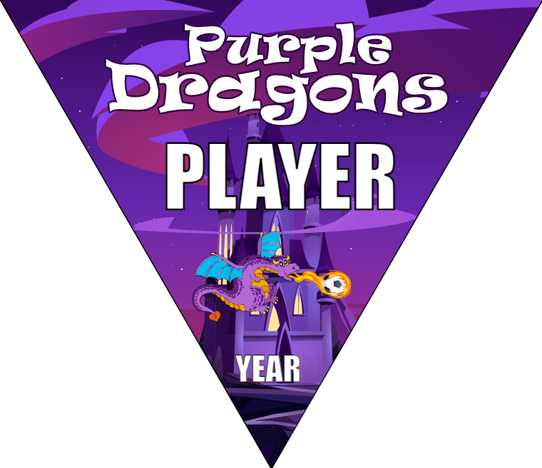 Purple Dragons - Triangle Soccer Banners