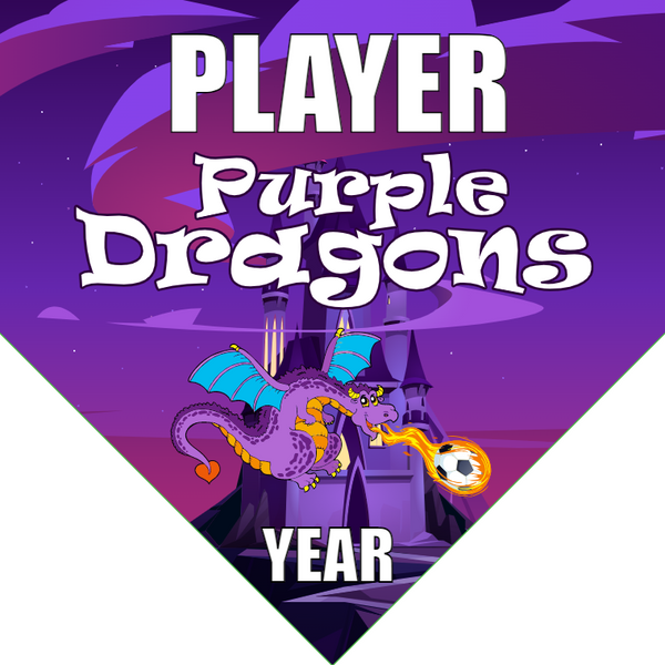 Purple Dragons - Homeplate Soccer Pennant
