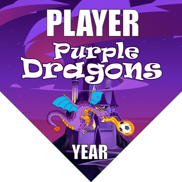 Purple Dragons - Homeplate Soccer Pennant