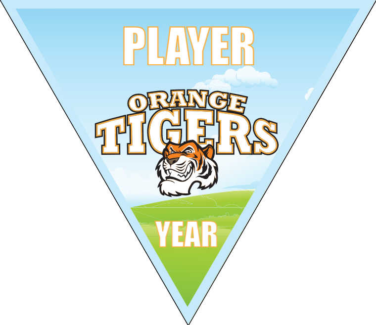 Orange Tigers - Triangle Soccer Banners